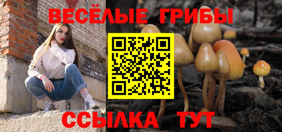 что такое наркотик  Галлюциногенные грибы ЛСД  Вход с VPN  Можайск 